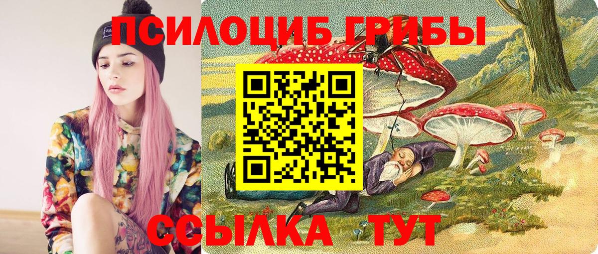 купить закладку  Псилоцибиновые грибы GOLDEN TEACHER  Вход с VPN  Новоалтайск 